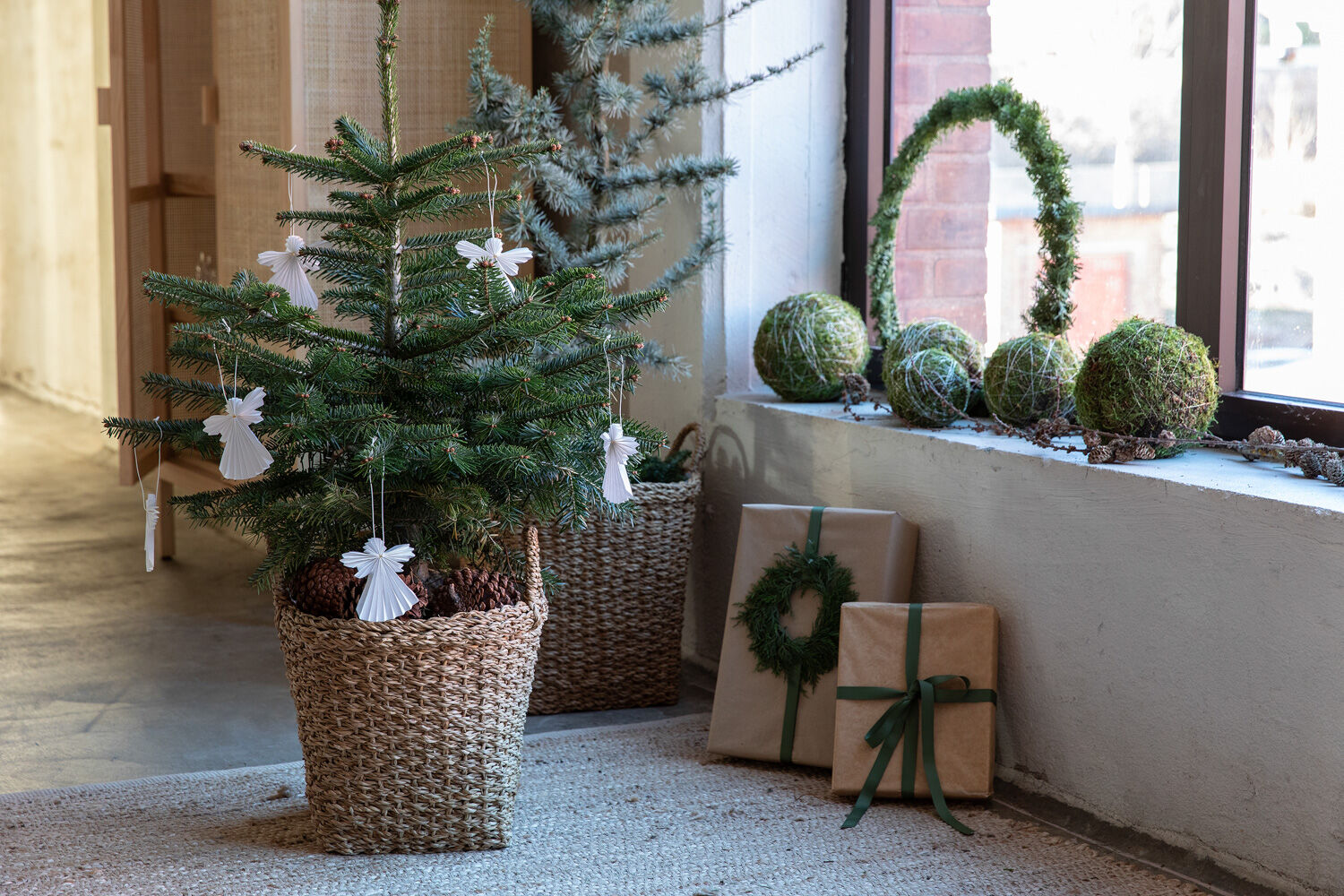 juletre i potte